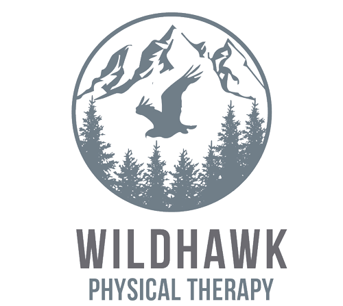 WildHawk Main Logo